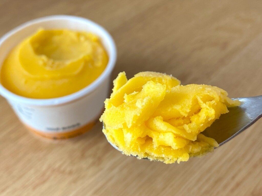 素材を生かしたソルベマンゴー