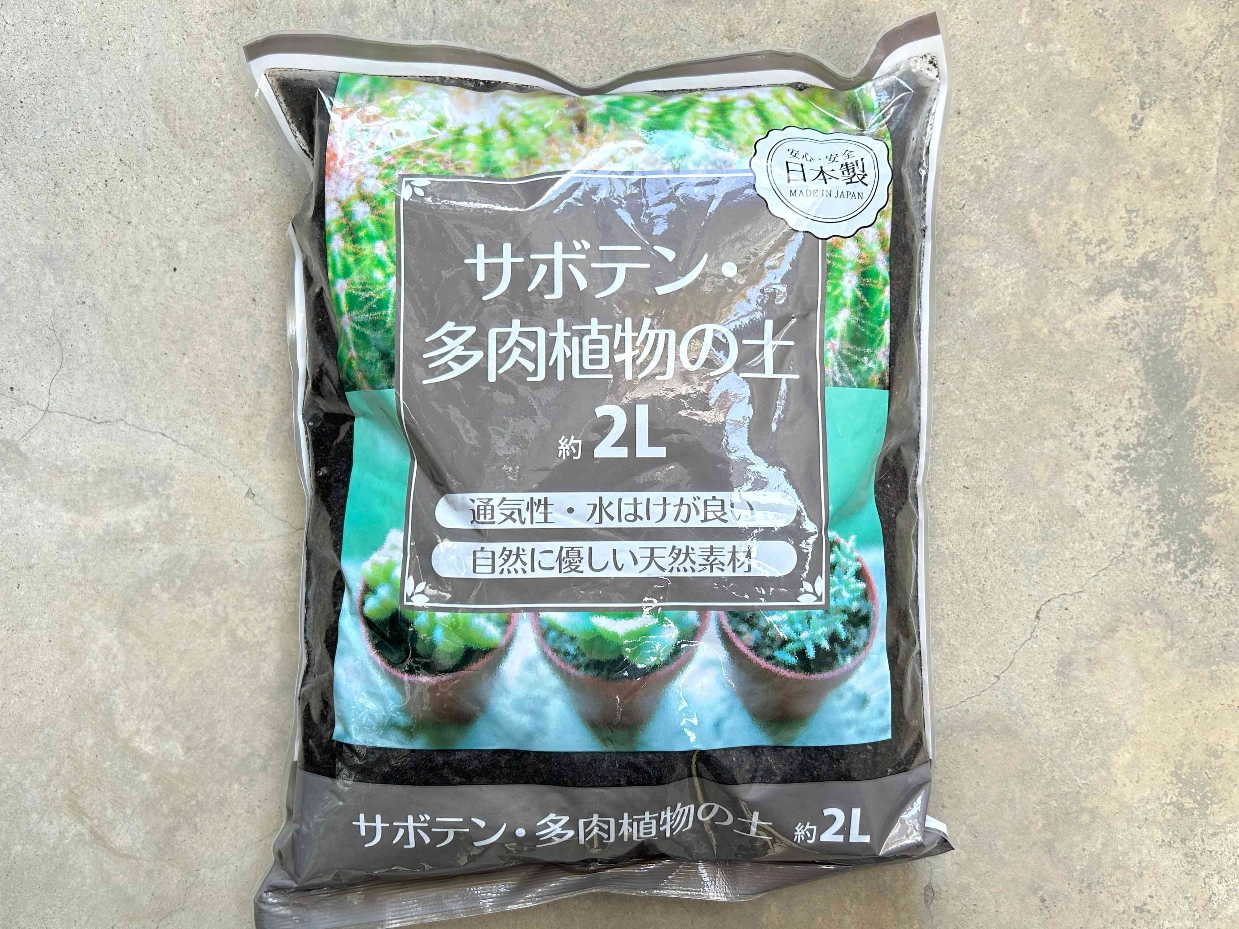 セリア　多肉植物　100均