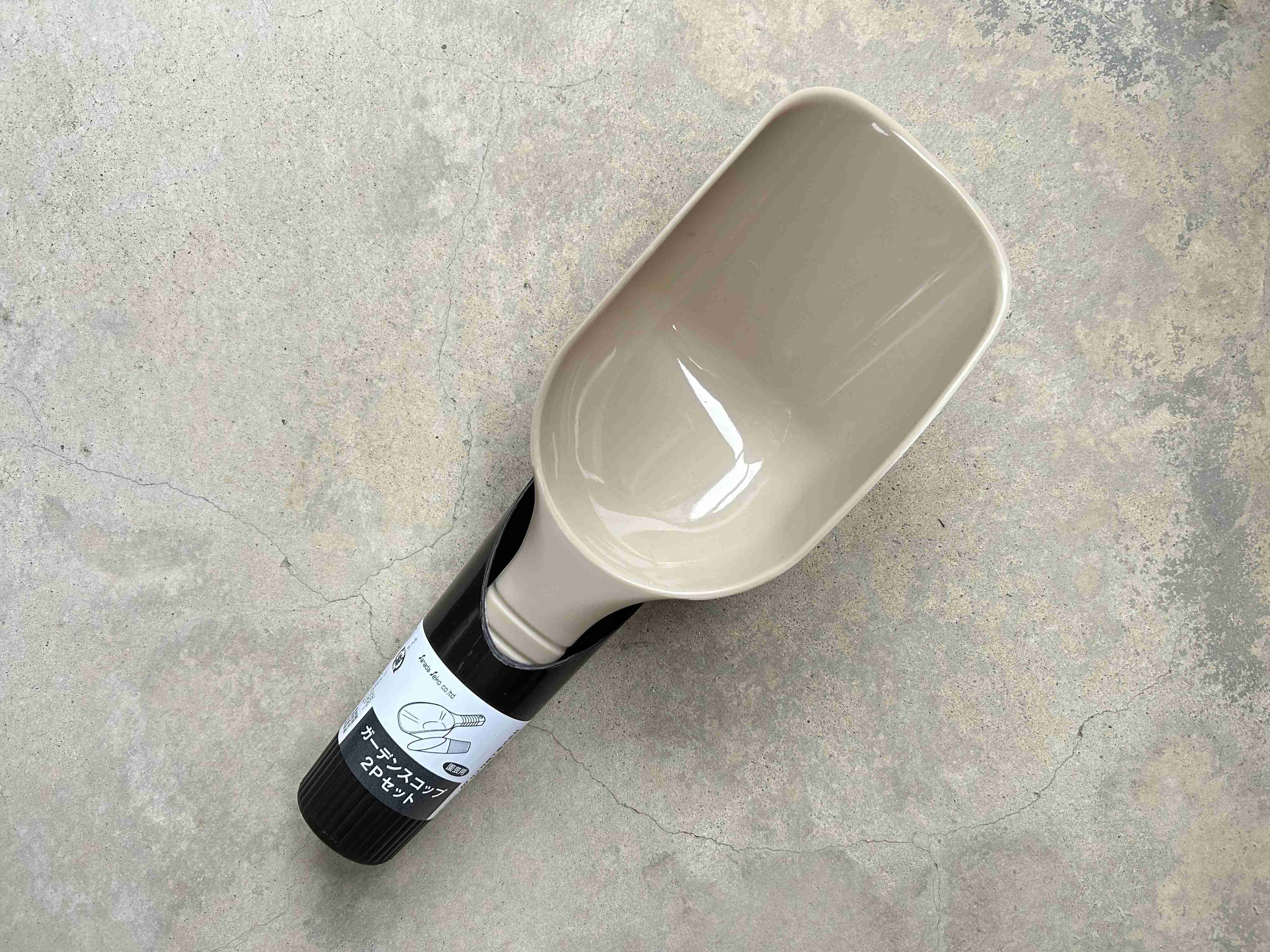 セリア　多肉植物　100均