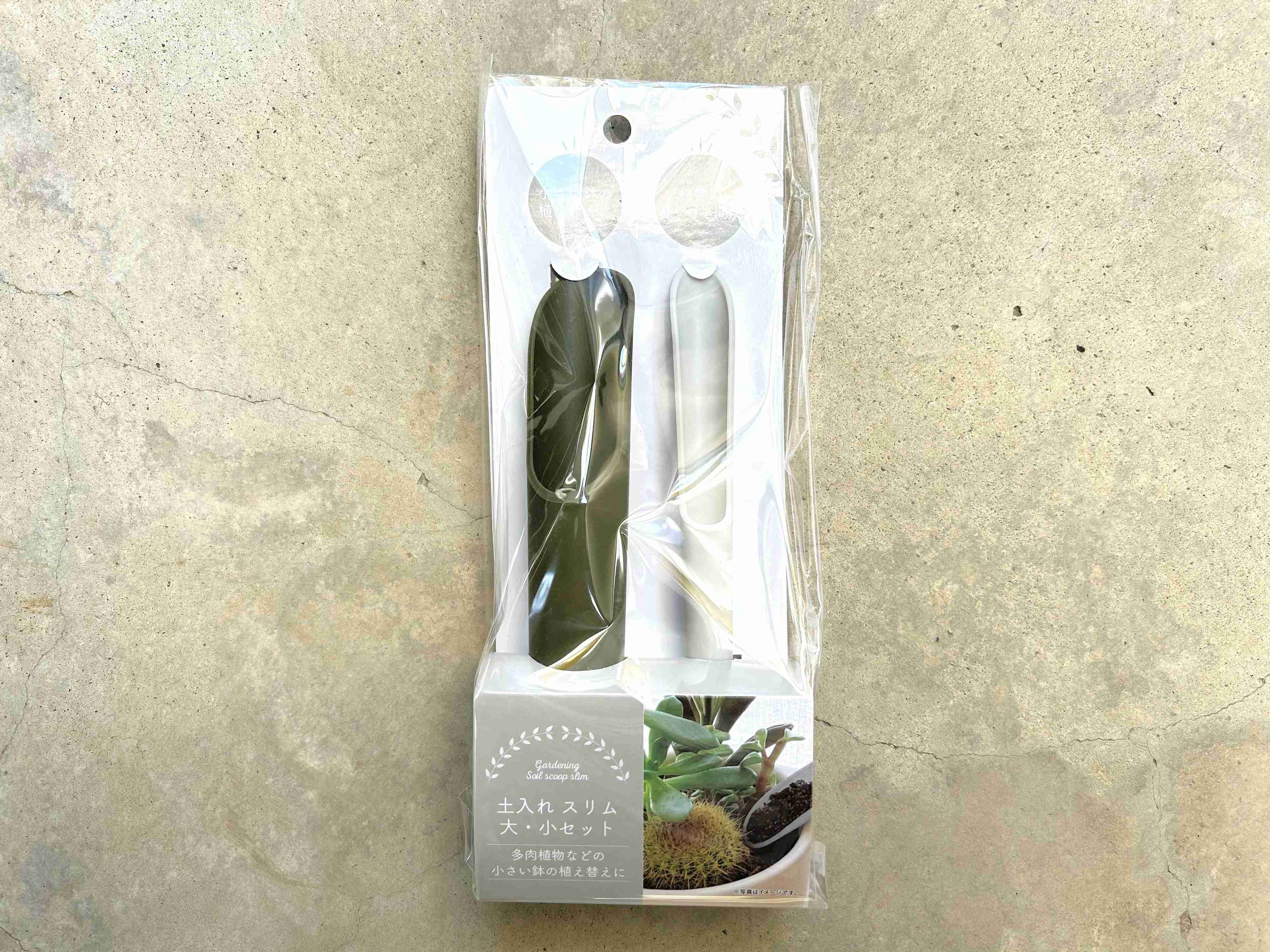 セリア　多肉植物　100均