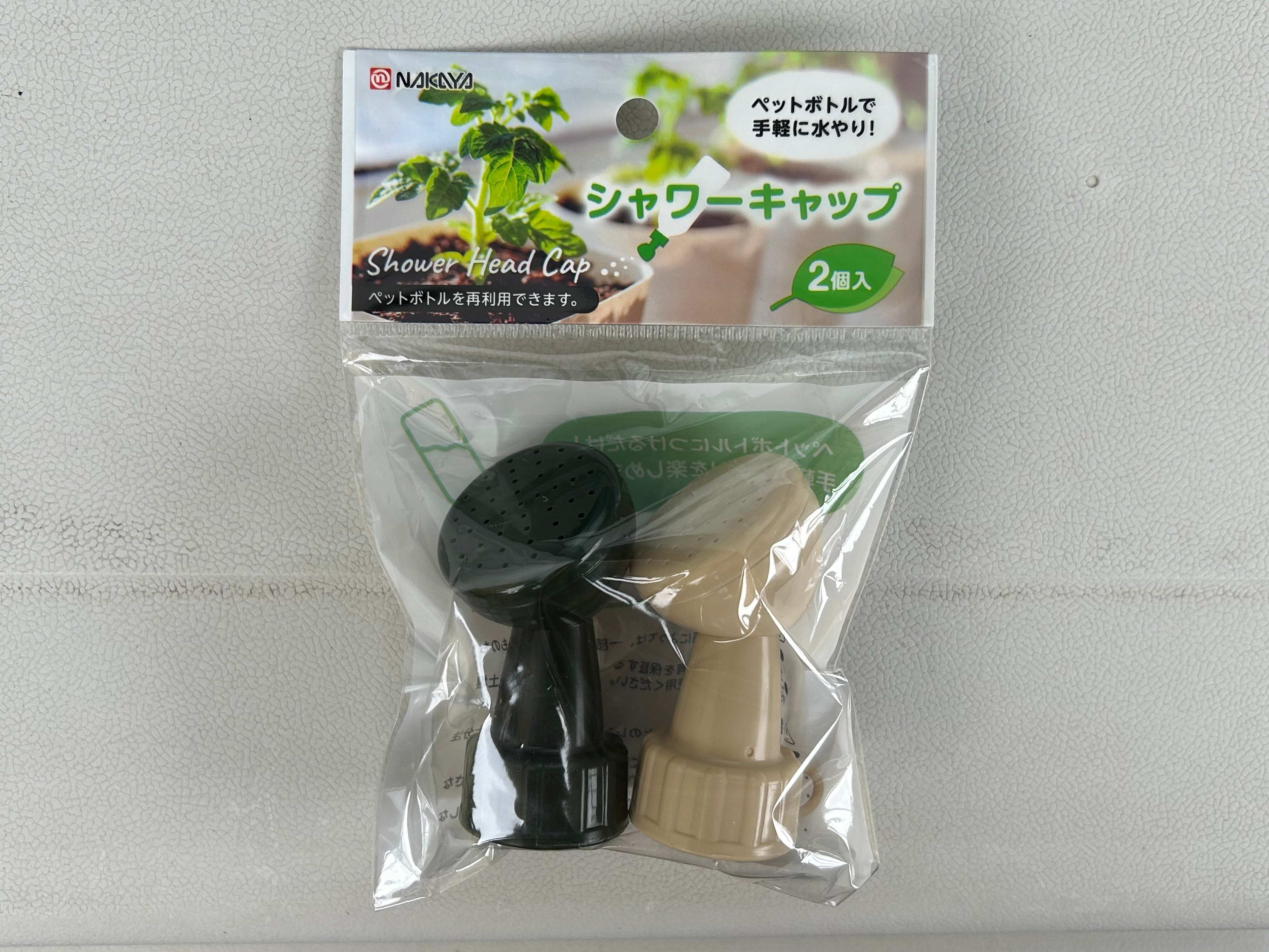 多肉植物　初心者　100均　セリア