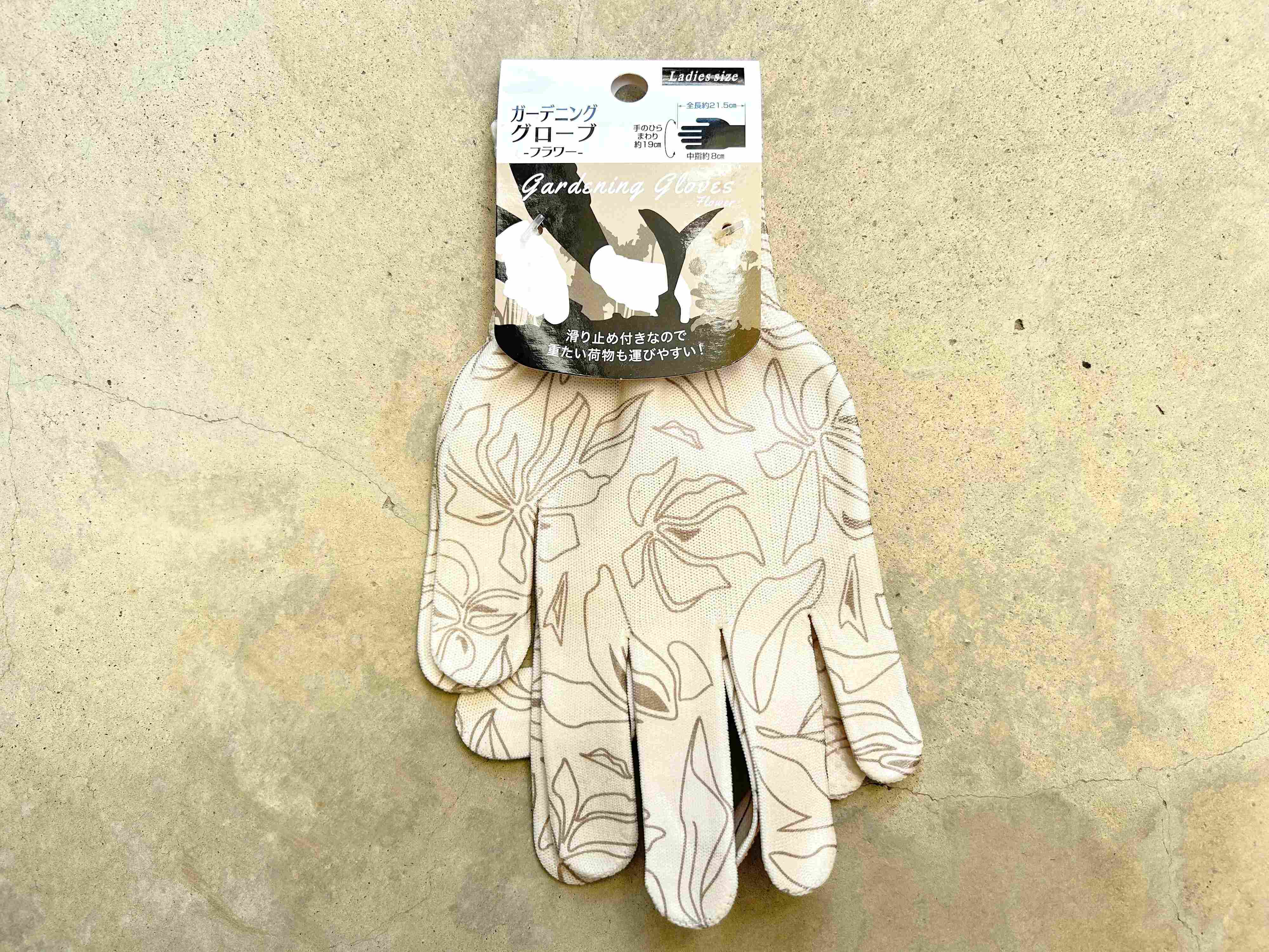 多肉植物　初心者　100均　セリア