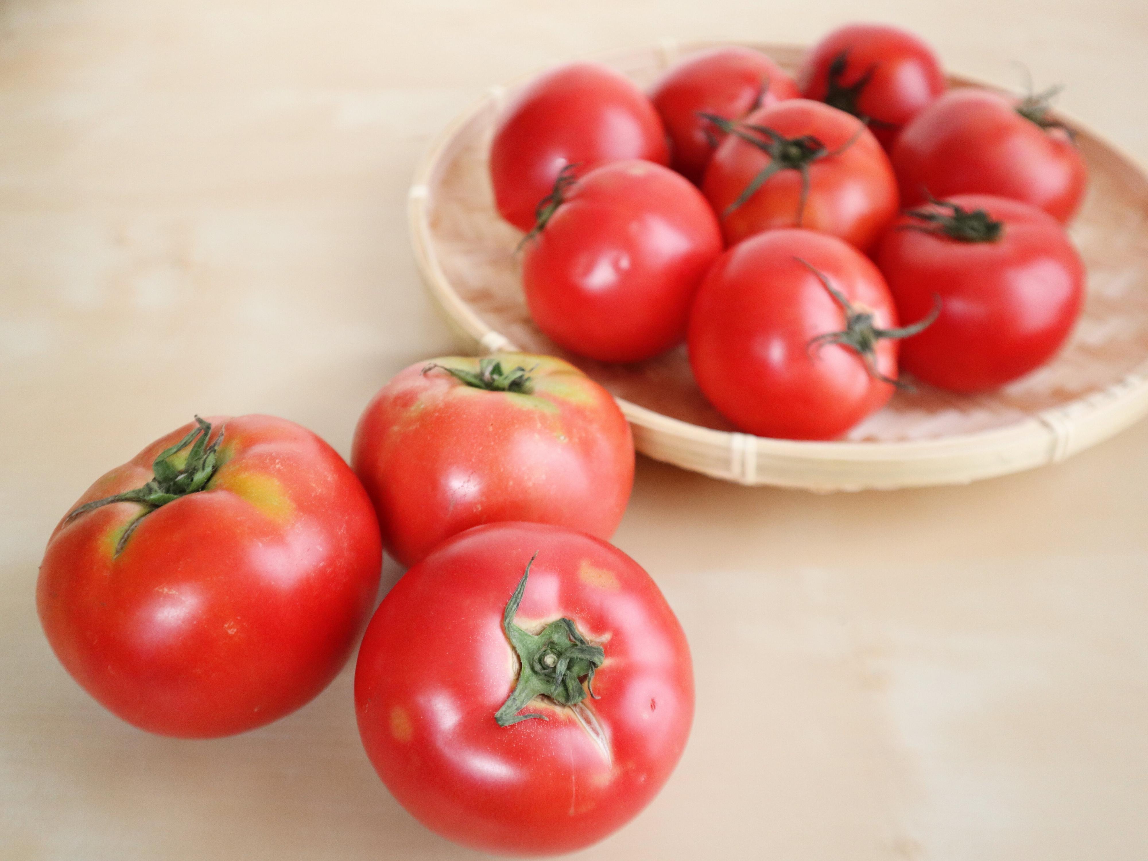 トマトの旬は春〜初夏