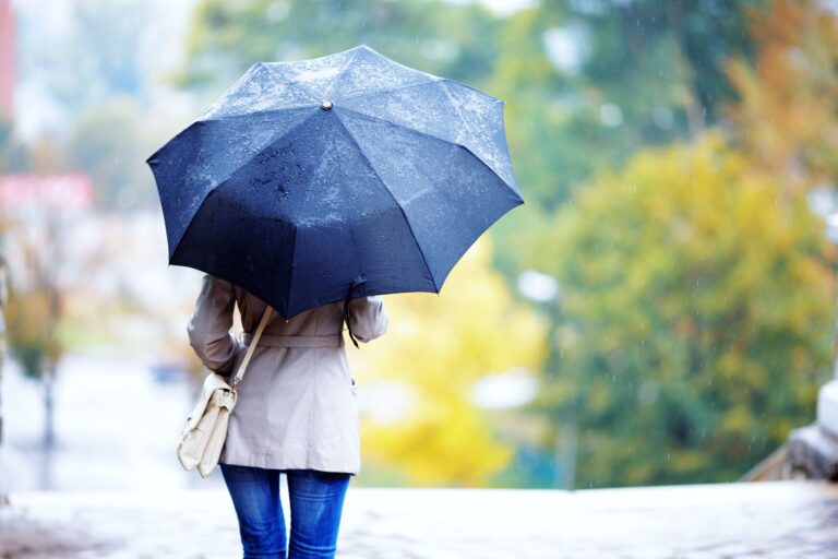 雨の日にやっちゃだめ！金運が上がる風水【Dr.コパの風水解説】