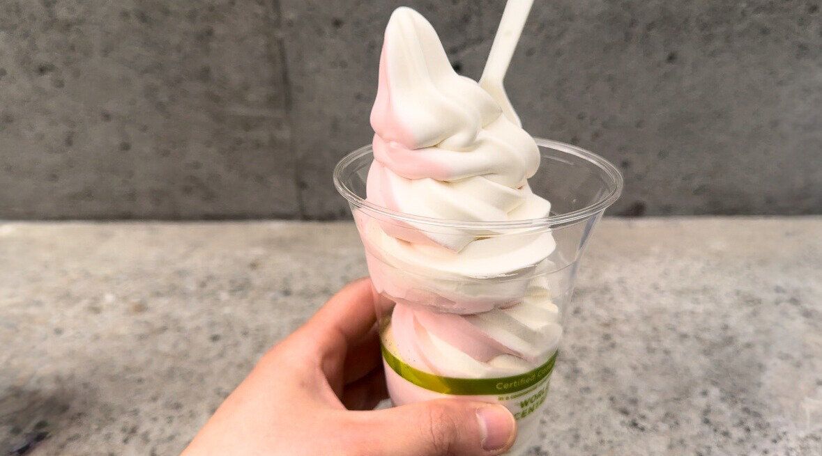 コストコ　ラズベリーヨーグルトソフト