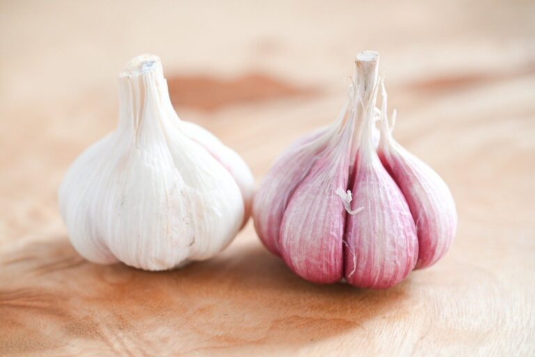 【旬食材】ふつうのとは何が違う？今しか味わえない新にんにくをおいしく食べよう