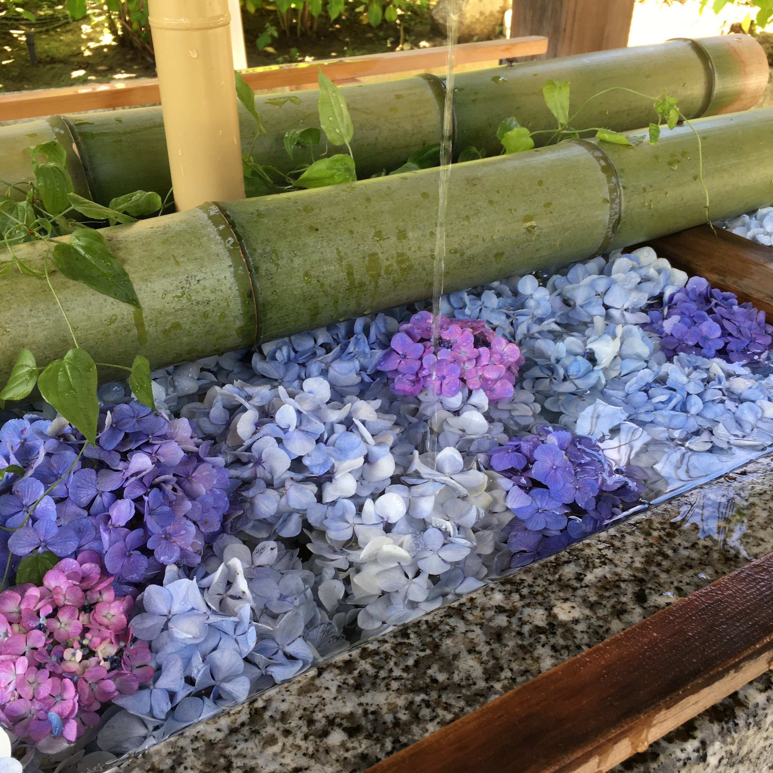 1,500円ケチって起きたデメリット