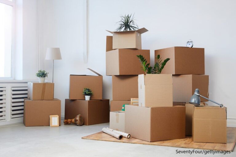 【引越し】転勤族×グリーン好きが知っておきたい「観葉植物の引越しルール」