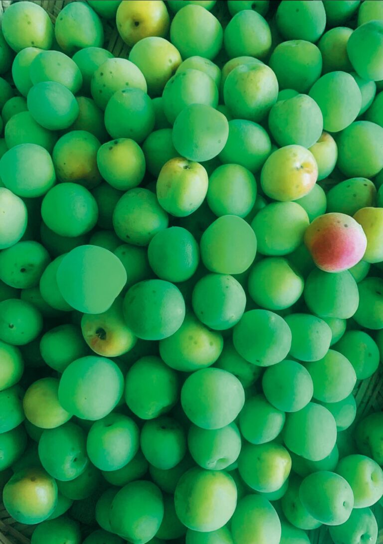 最小限の手間と道具で最大限美味しく作れる一生ものの「梅シロップ」レシピ