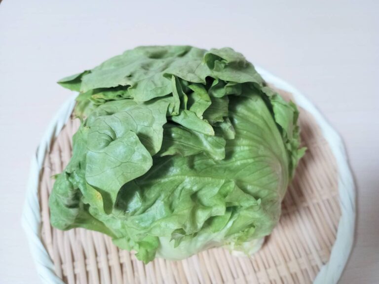 【旬食材】レタスは重いのと軽いのどっちを選ぶ？鮮度を判断するため見るべき場所は？野菜ソムリエ解説