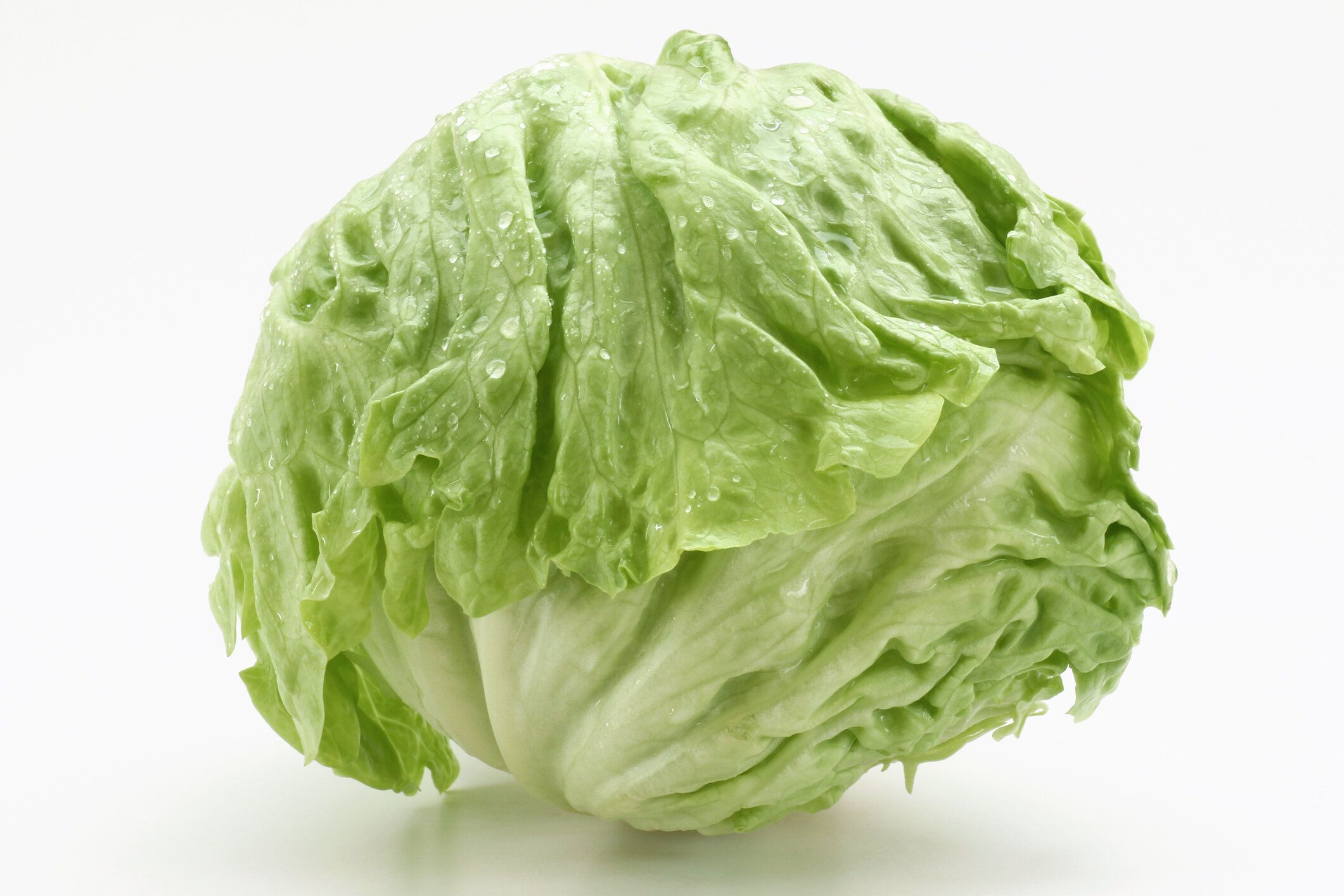 白い背景にレタス