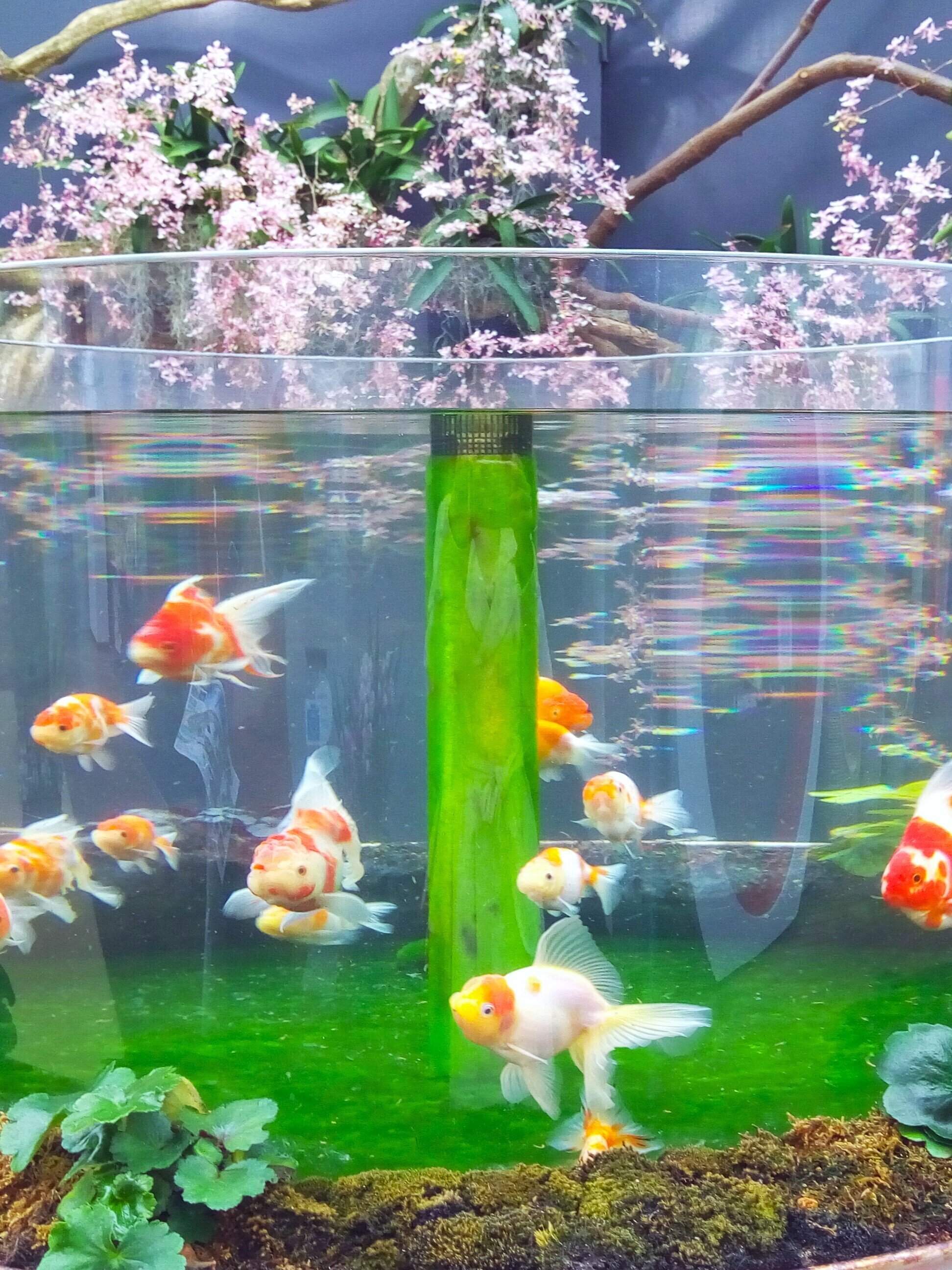 水族館