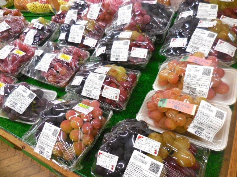 宝石のような果実を選び放題！フルーツ王国・山形で野菜ソムリエがおすすめするお土産とは