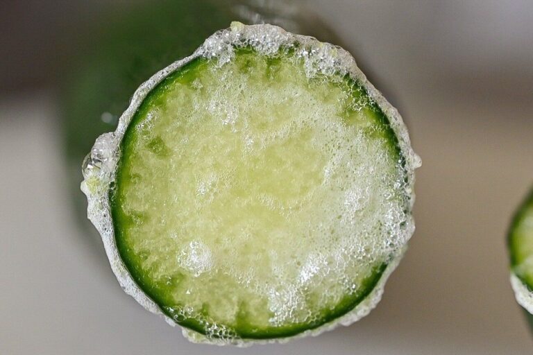 【旬食材】きゅうりは生で食べるならアク抜きして！簡単下処理＆きゅうりを生でいただく絶品レシピ3選