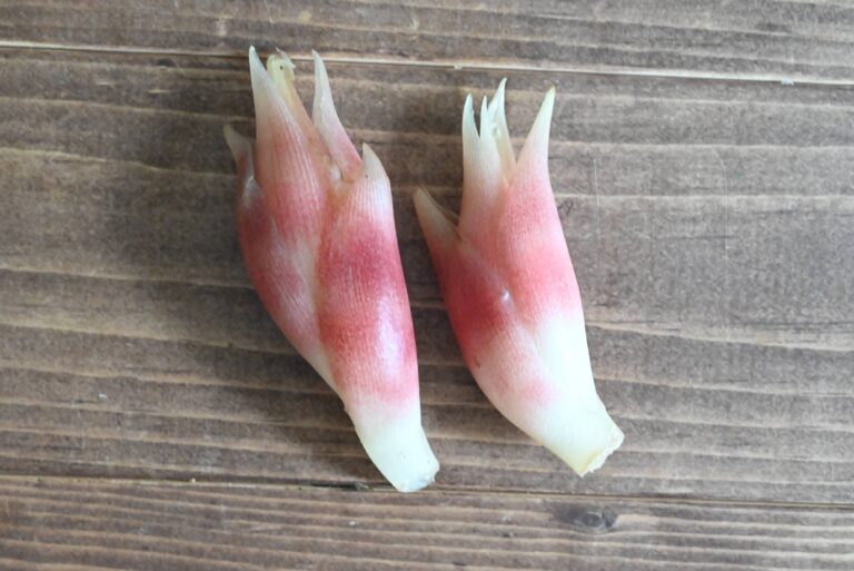 薬味が食べたくなる季節♪微妙に残った薬味をおいしく食べ切るおすすめレシピ3選