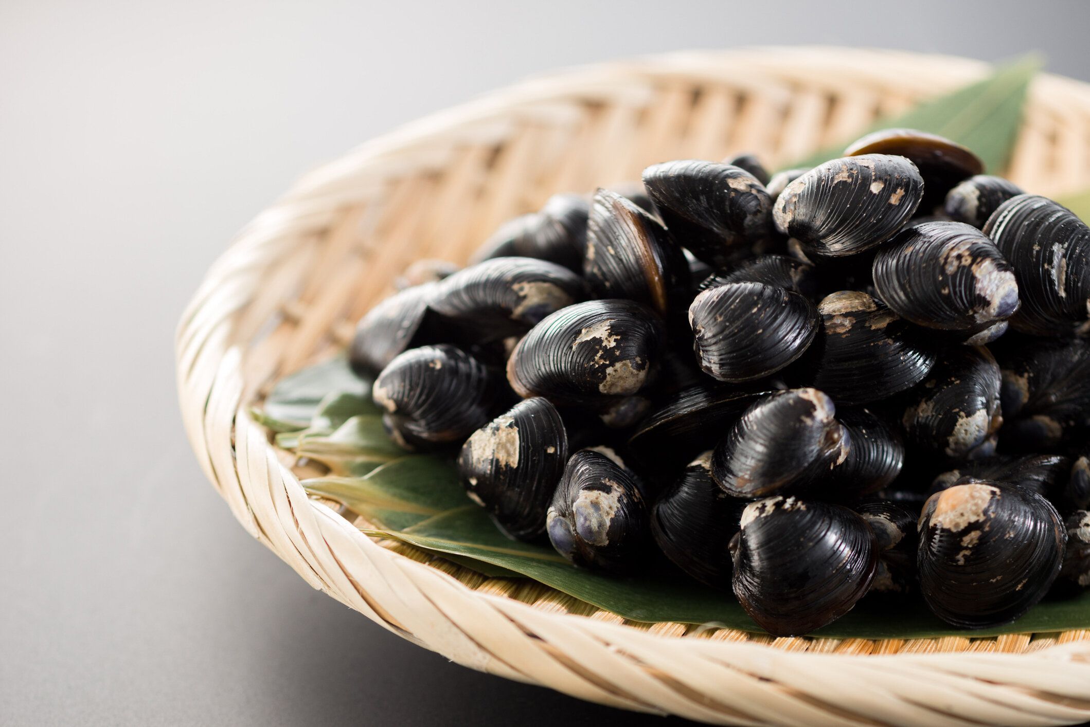 シジミハマグリ。