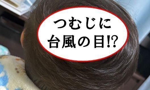 「の」の字つむじの2歳息子。髪をとかして現れたぐるぐる巻きの台風がかわいすぎて6.4万件のいいね