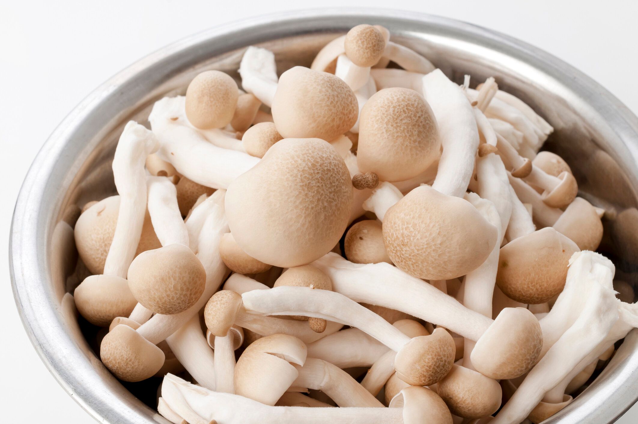 白い背景にステンレス製のボウルに茶色のブナのキノコ