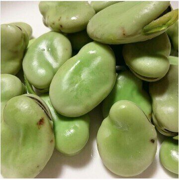 ストウブDE〜そら豆の蒸し焼き