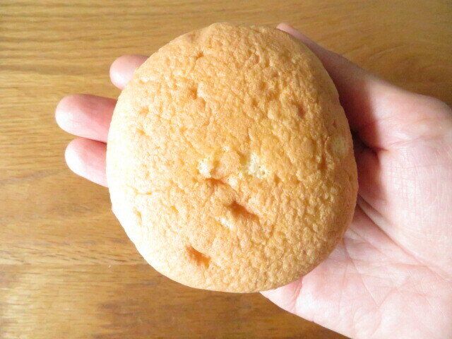 手に乗せたところ