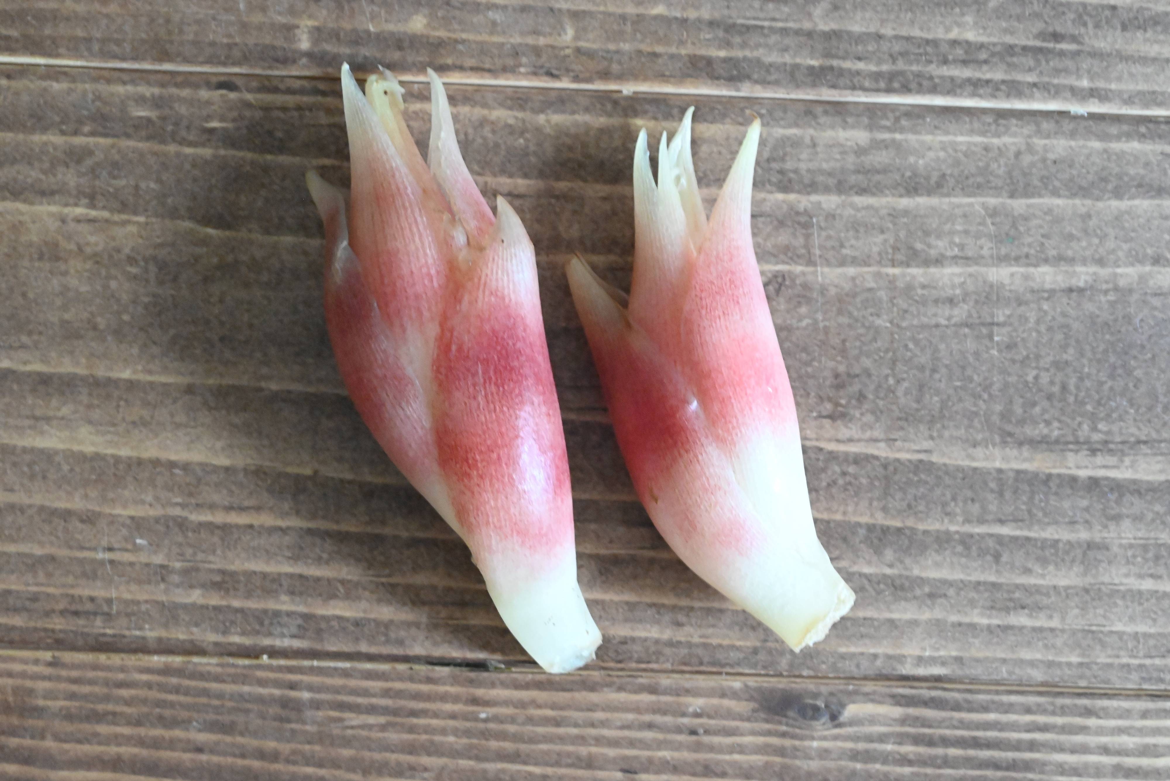 テーブルにのったみょうが