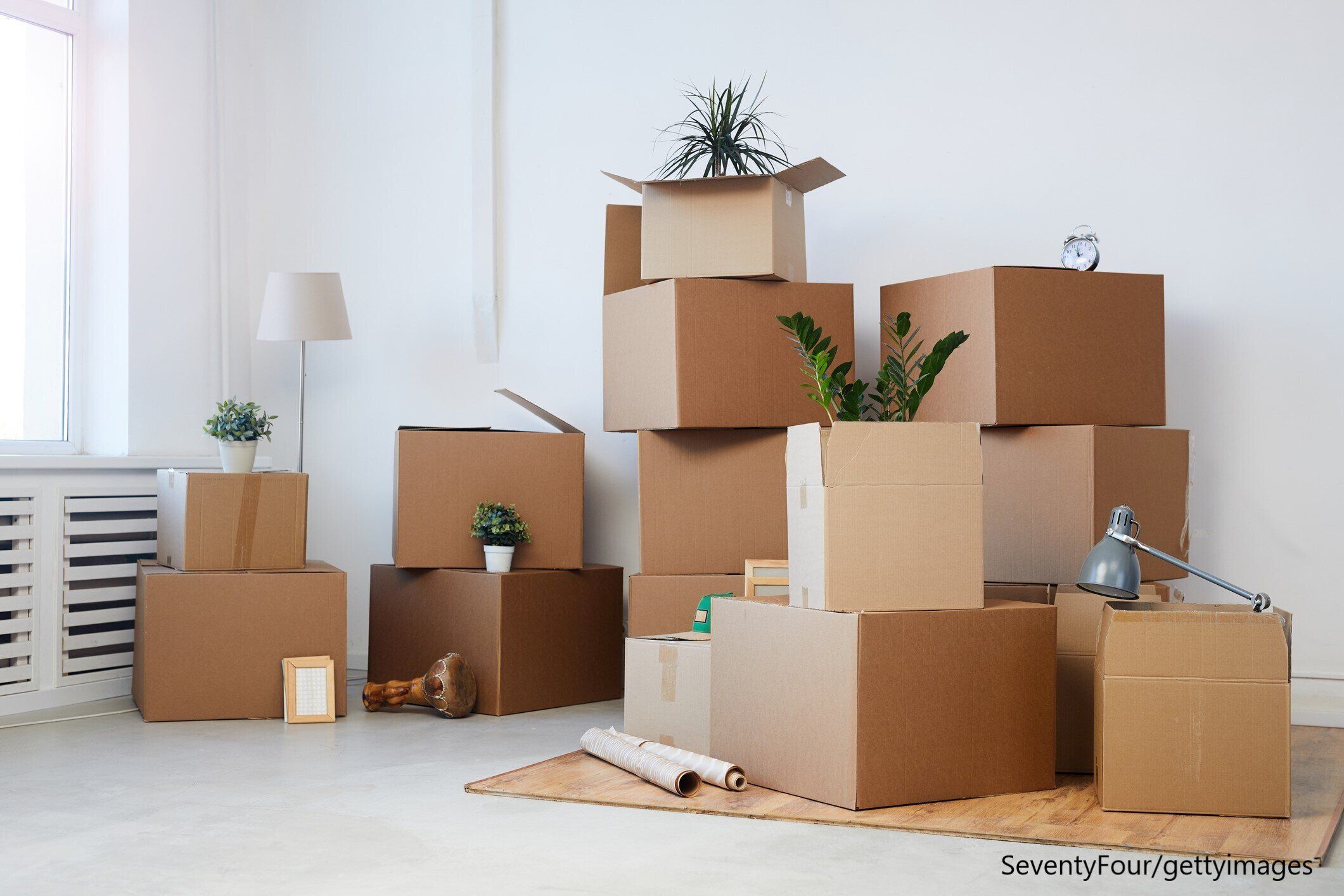 観葉植物 引越し