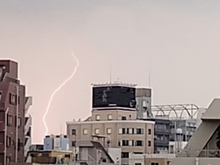 【予報士解説】木の下は安全？危険？身を守るために知っておきたい雷にまつわるウソ・ホント