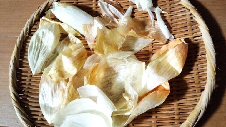 「玉ねぎの皮」ってこんなに有能！あなたも今日から使いたくなる、上手な活用法とは？