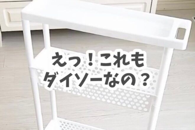 えっ！ダイソーなの？【ダイソー】「完璧すぎて何も言えない」おすすめ収納用品2選