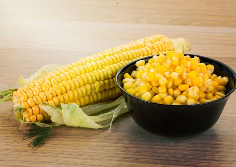 おいしい「とうもろこし」をスーパーで買うときに野菜のプロが見ている”見分けるコツ”とは？