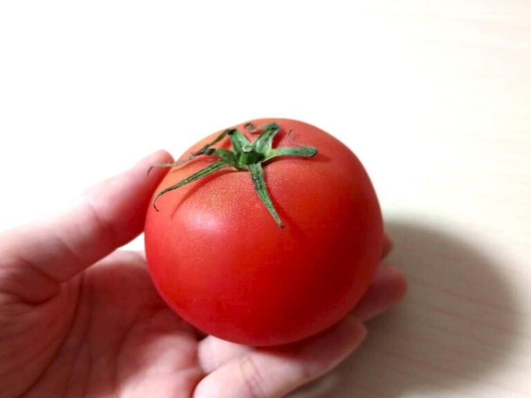 トマトは冷蔵保存ではなくむしろ冷凍すべき！その理由と活用法を野菜ソムリエが解説