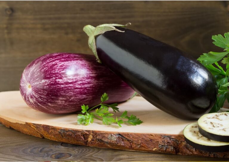 ナスを選ぶとき本体から見るのは間違い!?旬の野菜選びを失敗しないための野菜ソムリエ解説