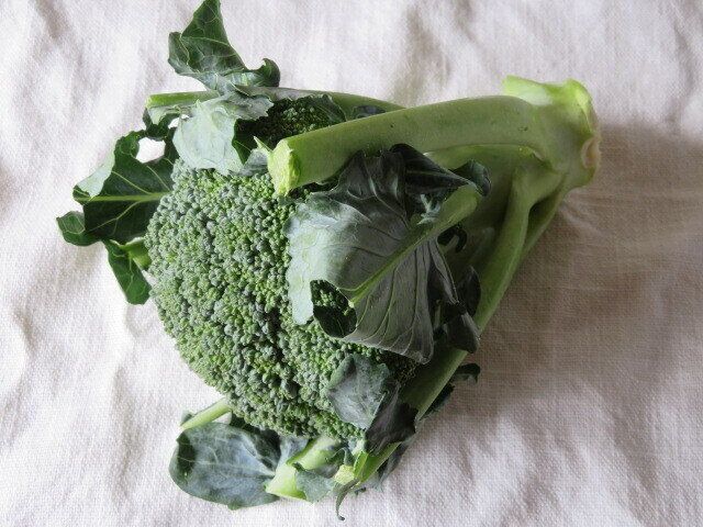 ブロッコリーを主役に！残さず食べきる和え物レシピ3