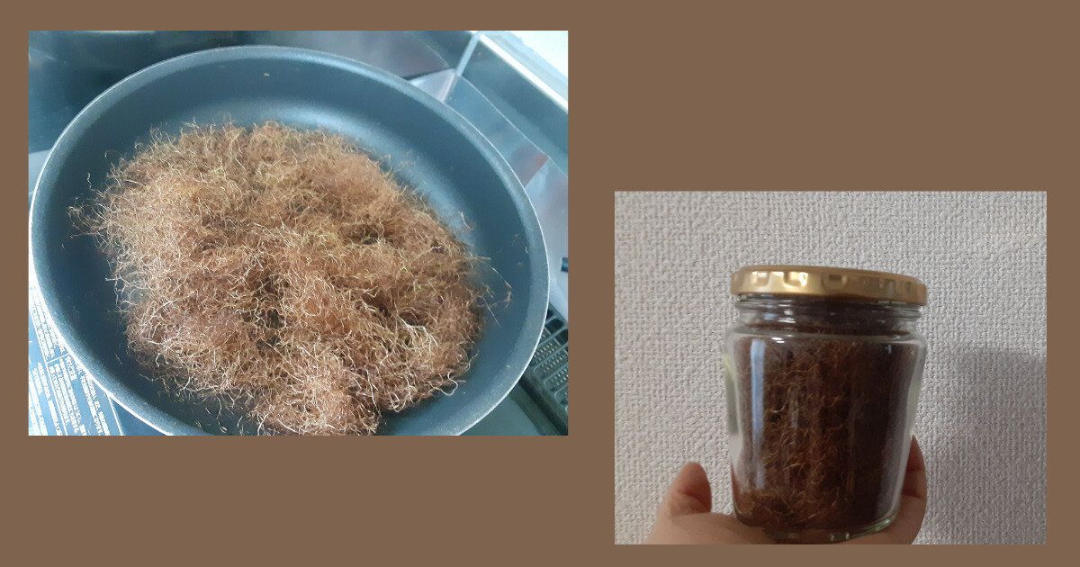 とうもろこしヒゲ茶