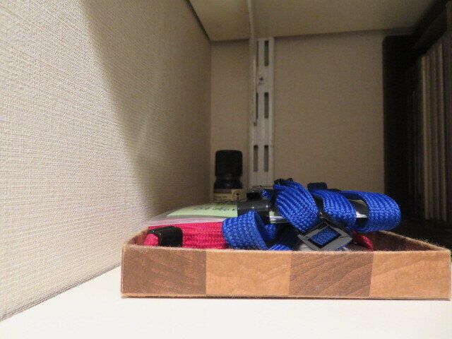 ネームプレートはたまにしか使わない