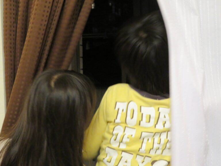 子どもが暇を持てあましておる！動画漬けにしないため見せるもの3