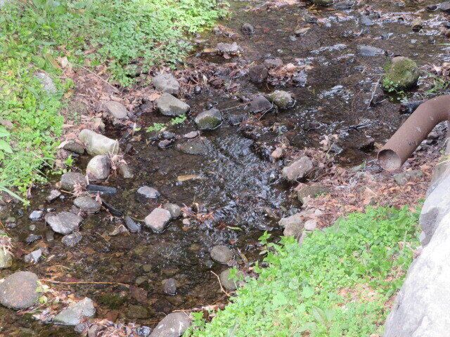 周囲の環境を汚染する