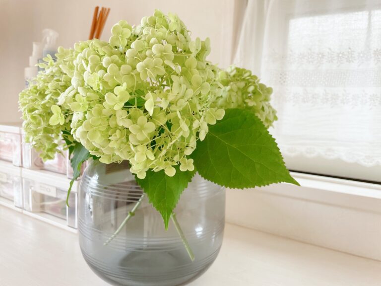 わたしに優しいこと！心をホッとさせてくれるモノとコト