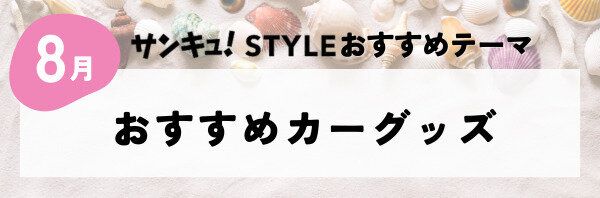 【おすすめのテーマ】おすすめカーグッズ