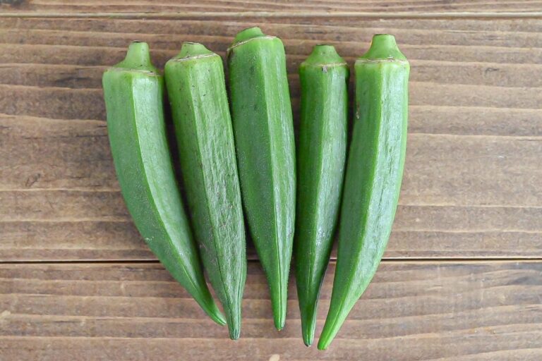 【旬食材】納豆と合わせるだけじゃない！栄養たっぷりオクラをもっと食べよう！切り方と調理でマンネリ打破レシピ3選