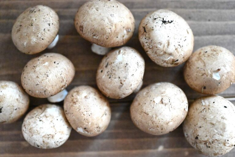 生でも食べられるって知っている？さまざまな味を楽しめるマッシュルームを取り入れて♪おすすめレシピ2選