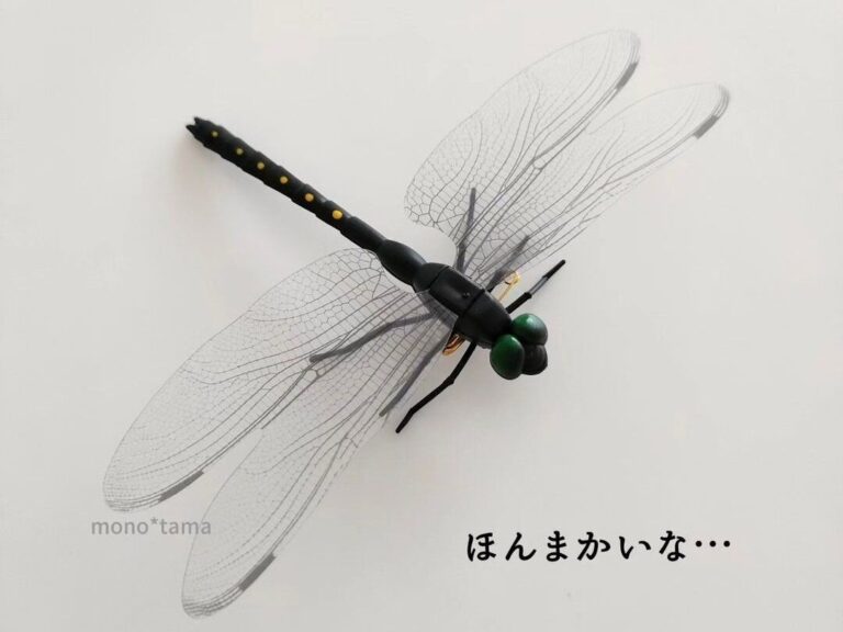 ほんまかいな…【ダイソー】「もう買った？」「機能的」お出かけにもおうちでも！おすすめアイテム5選