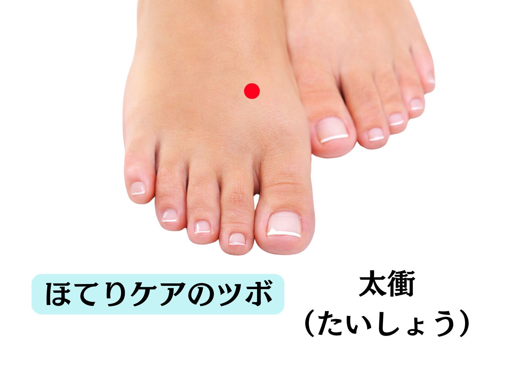 ツボ　ほてり　東洋医学