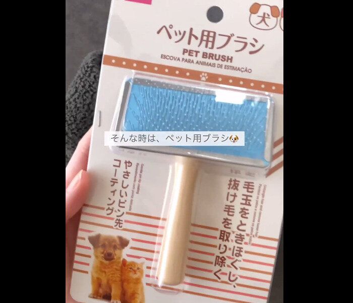 ふわふわ復活!ペット用ブラシ
