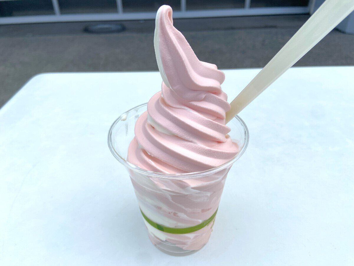 ラズベリーソフト