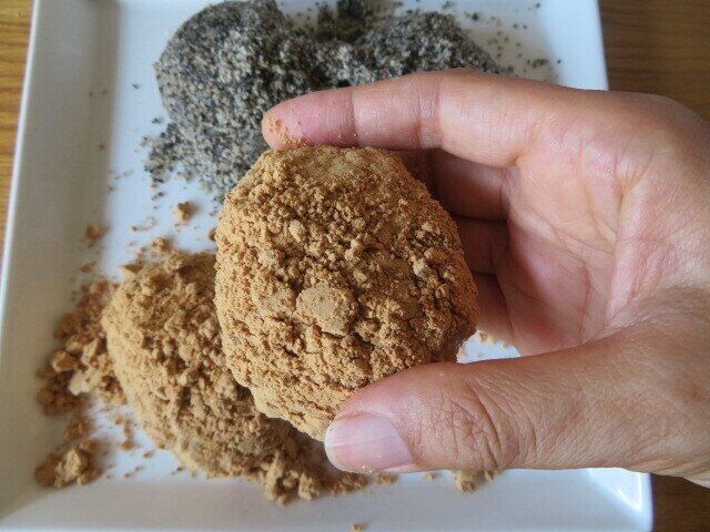 手に持ったところ