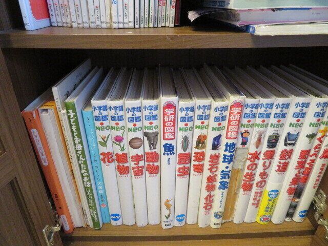 子の要望にこたえるのも親のつとめ