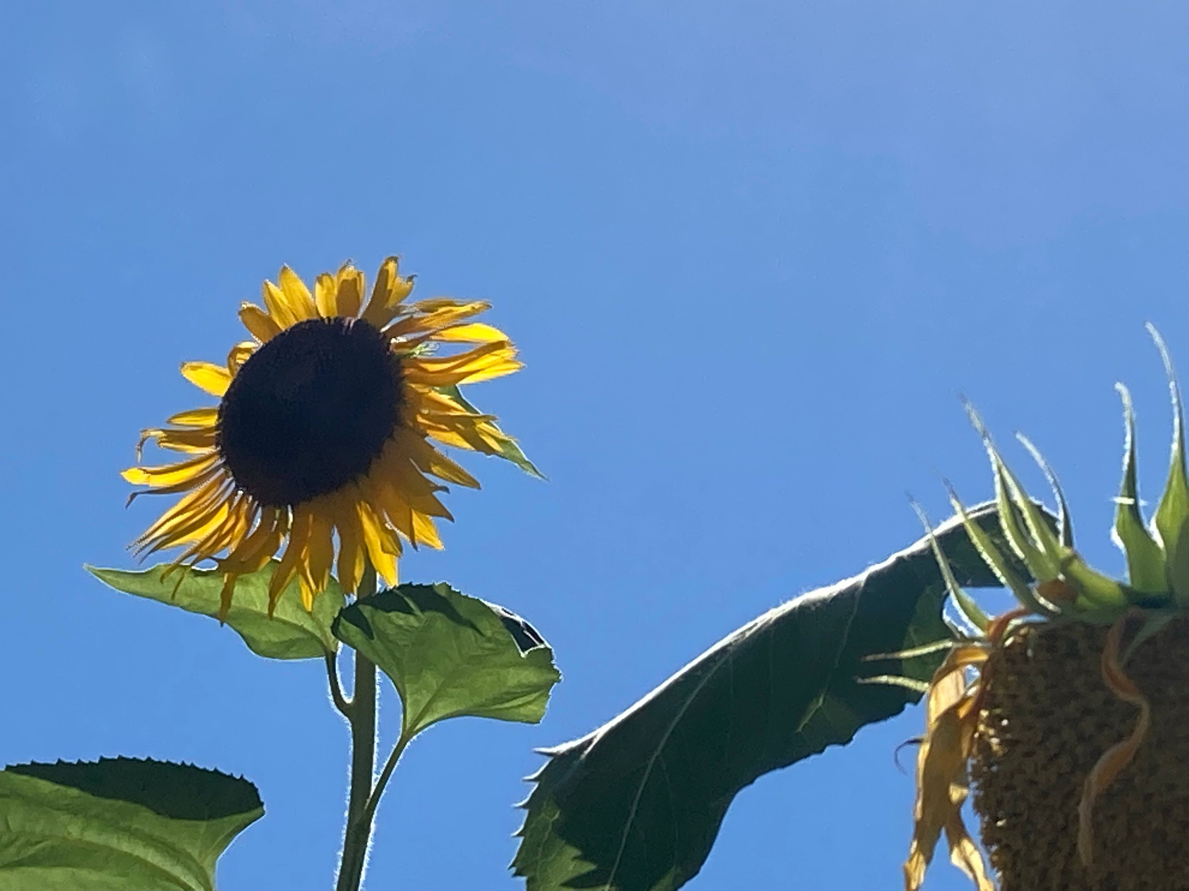 長期休みは記憶喪失で終わる……子どもとの関わりで試したいこと3