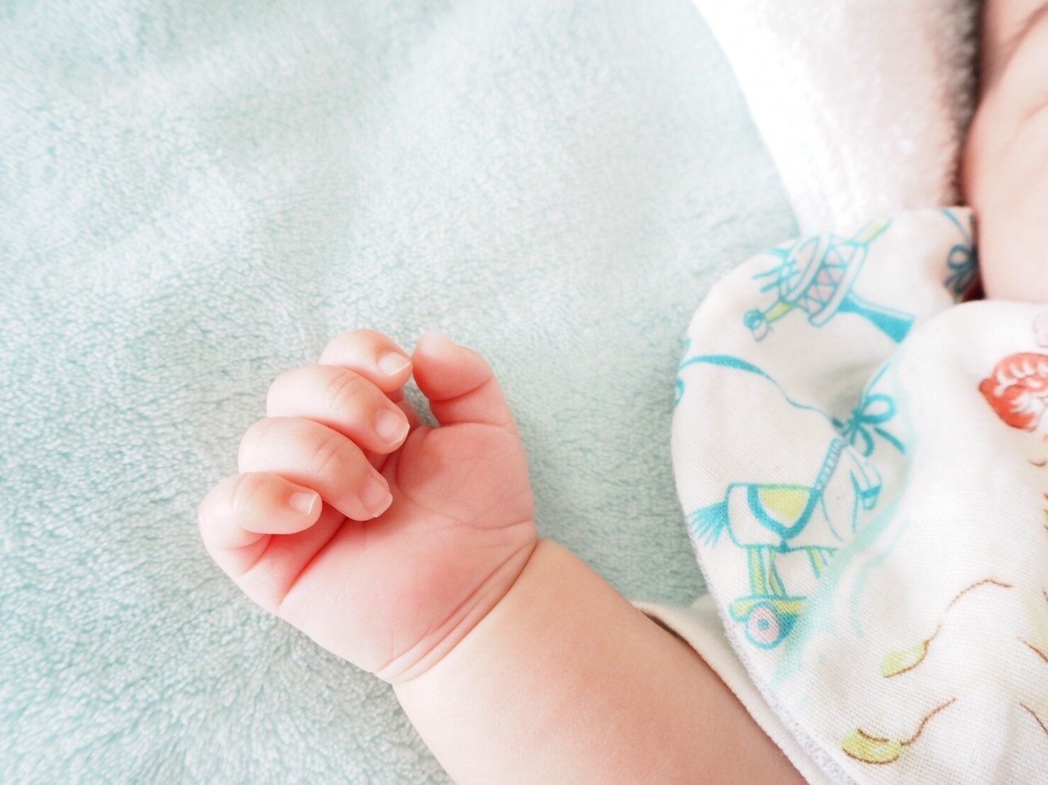 赤ちゃんの手の写真