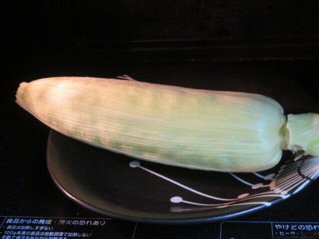 電子レンジで加熱